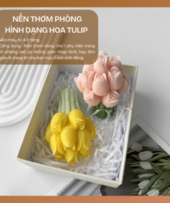 Nến thơm phòng hình dạng Hoa Tulip