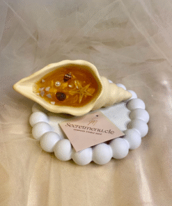 Nến Thơm Vỏ Ốc Đại Dương Bling Bling