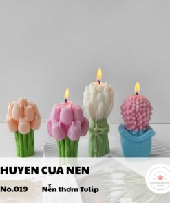 Nến thơm phòng hình dạng Hoa Tulip - Chuyện Của Nến