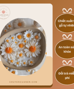 Nến thơm hình hoa cúc