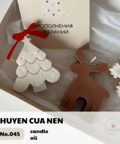 nen-cay-thong