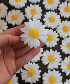 Nến thơm hình hoa cúc