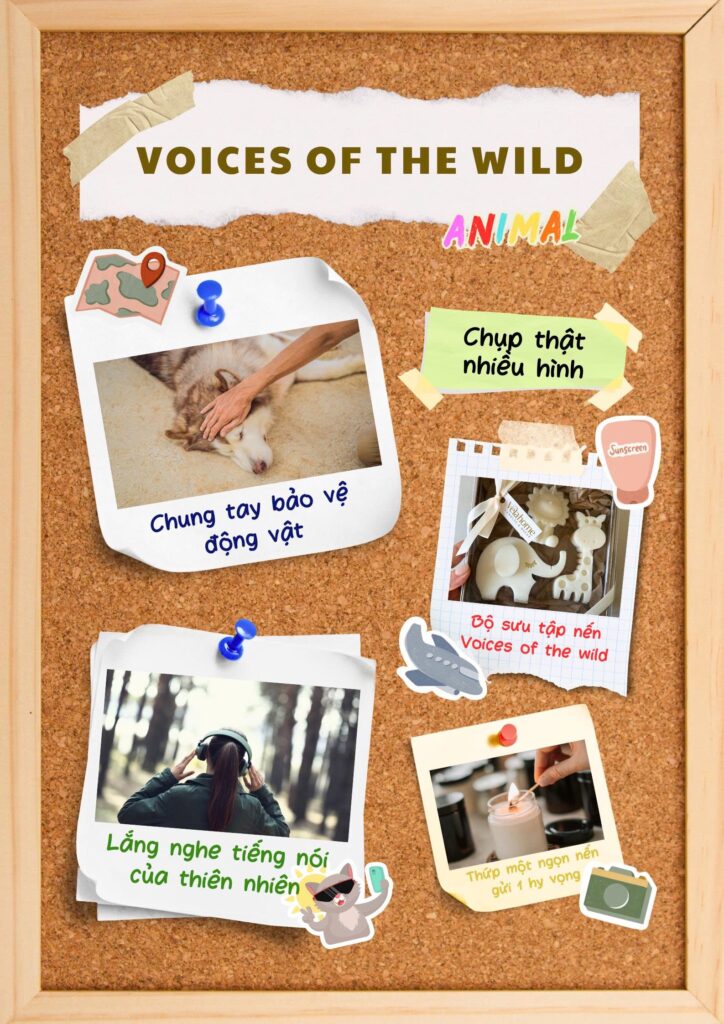 Voices Of The Wild